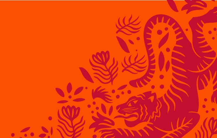 Tigre | Naranja - Amara Brava Spritz